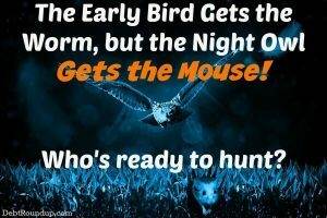 early bird gets the worm, but owl gets the mouse